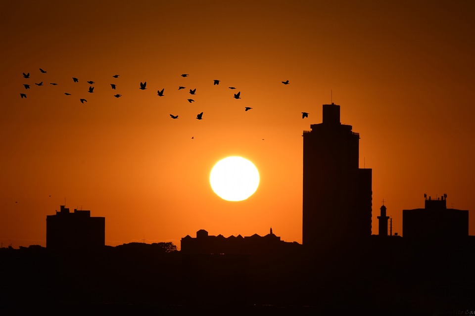 Trucos Para Sobrevivir Al Verano Sin Salir De Zaragoza