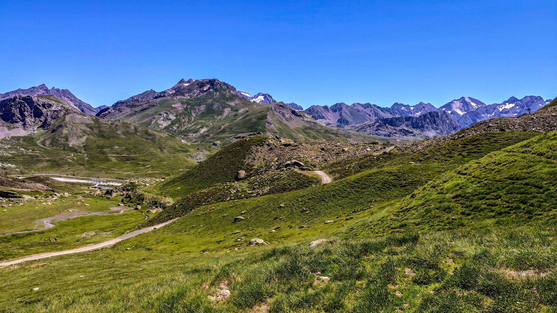 son grandes pirineos faciles de entrenar